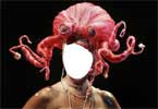 Octopus hairstyle